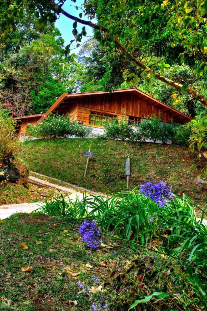 Rancho Amalia