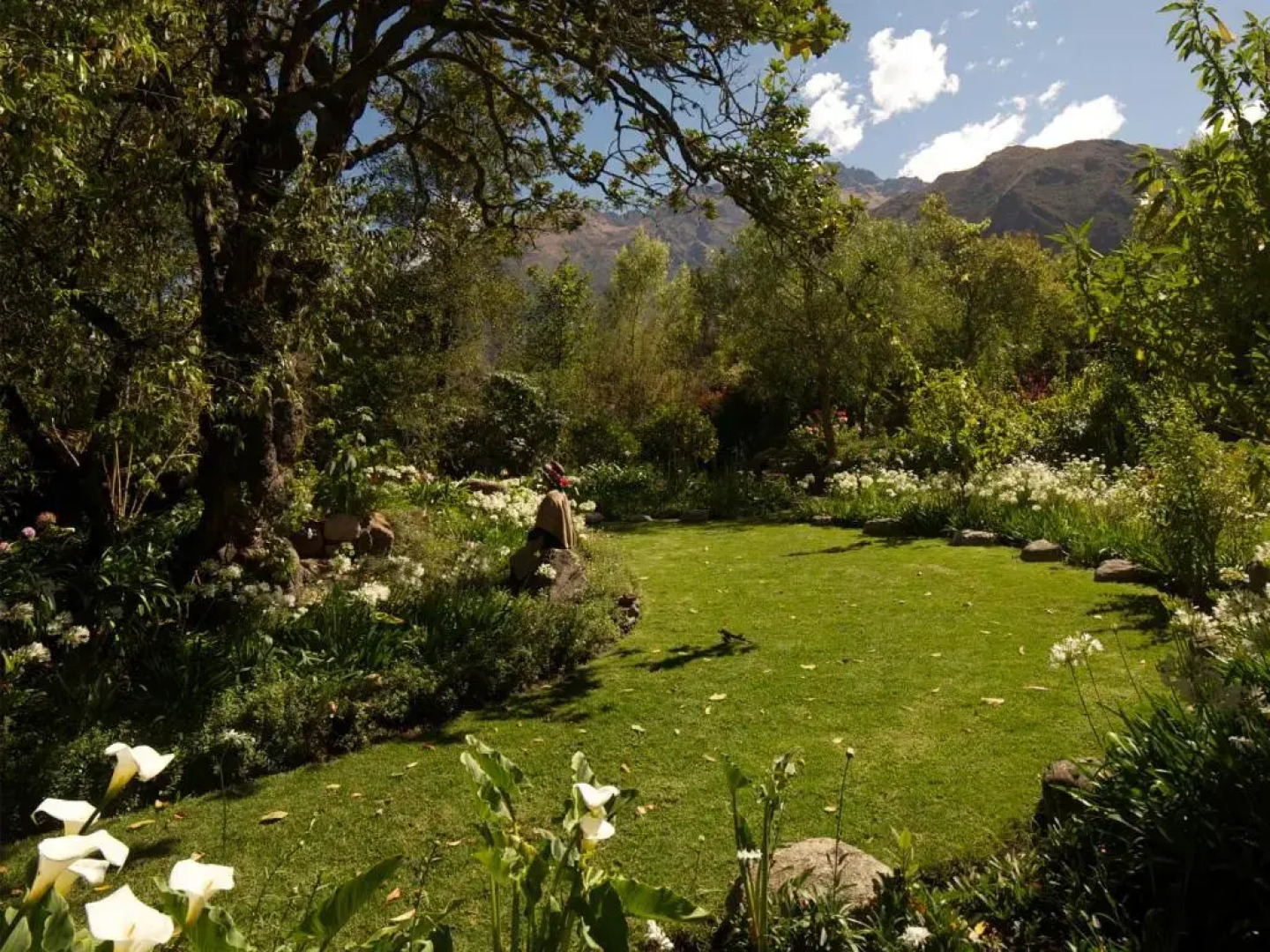 Willka T'ika Essential Wellness