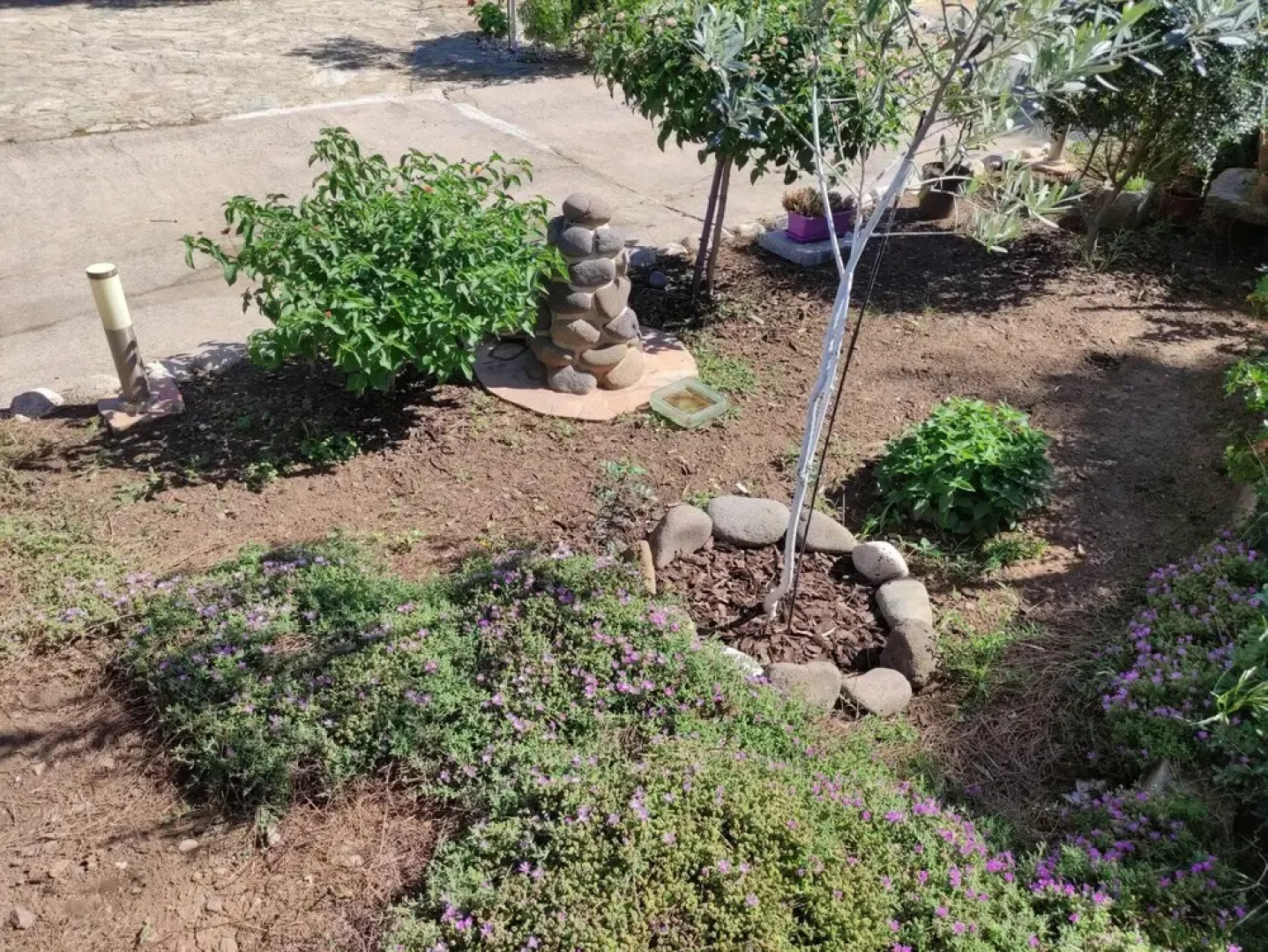 Porto Pino Sardinia Holiday Home