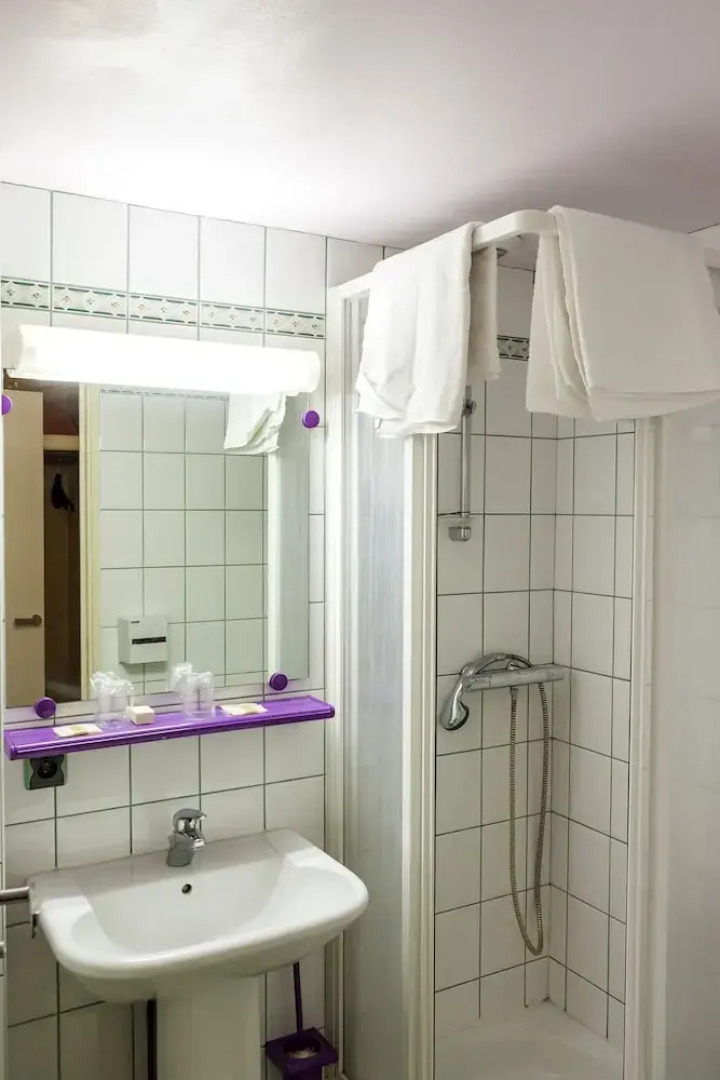 Logis Hotel Restaurant Croix Verte