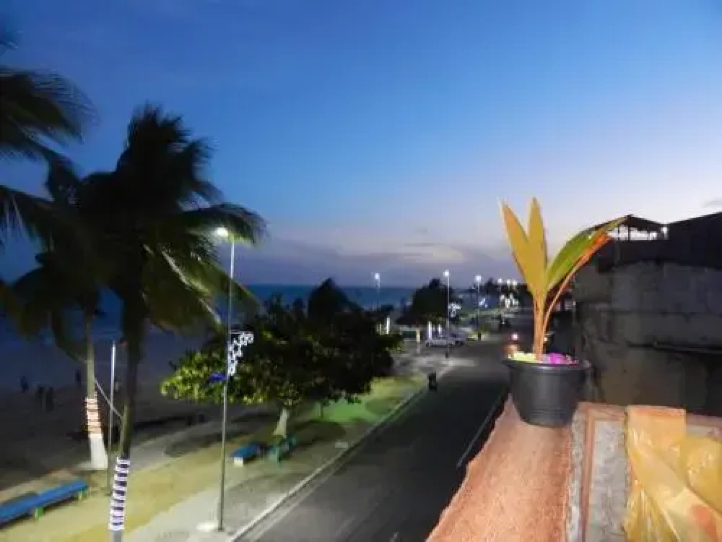 Bicho Caramelo Hostel & Bar