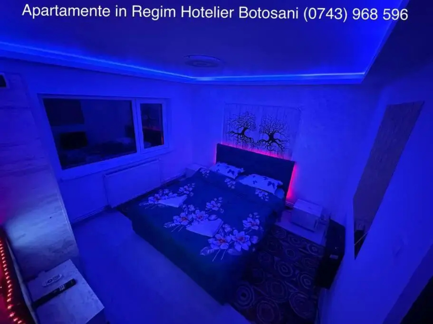 Apartament cu 2 camere/Curte privata/La parter/Lux oferim factura