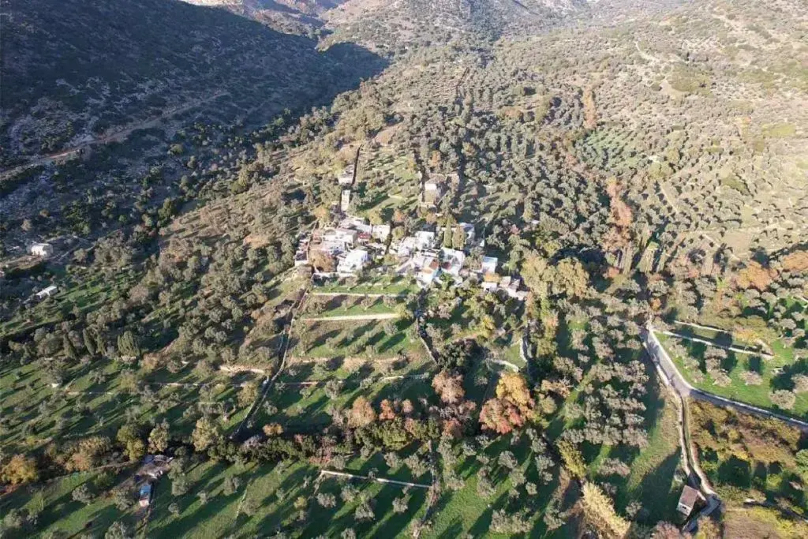 Monitsia Traditional House