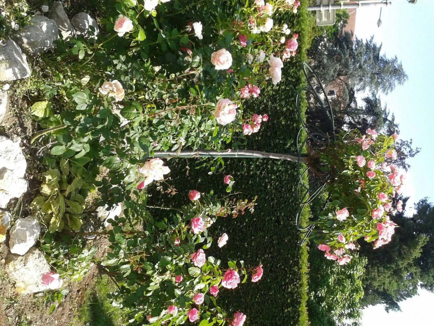 Cithotel Logis De Brou