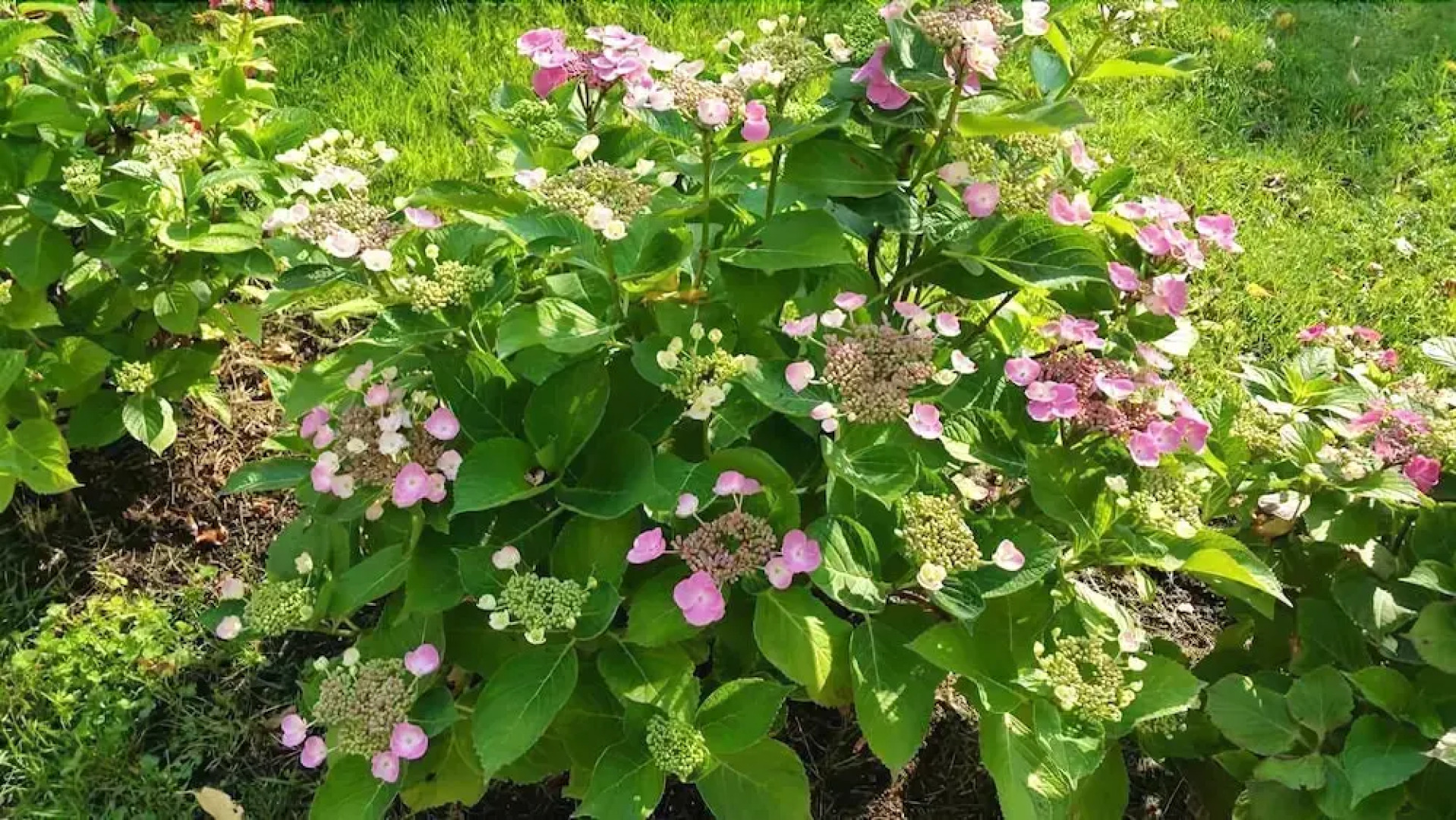 La Ferme De Saint Julien