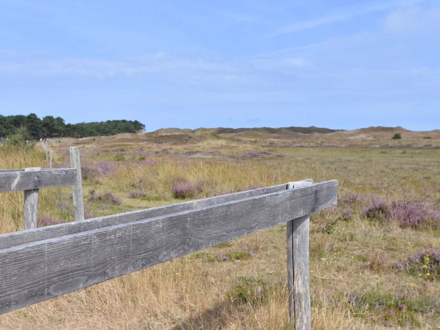 Farmhouse Lodge in Texel Near the Dyke