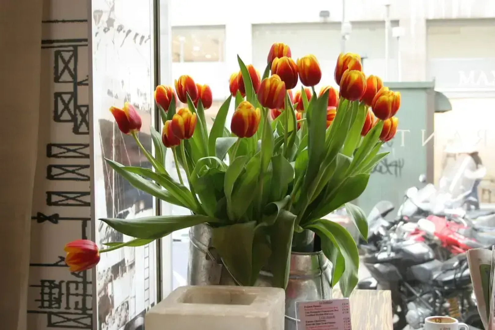 Agriturismo La Virginia