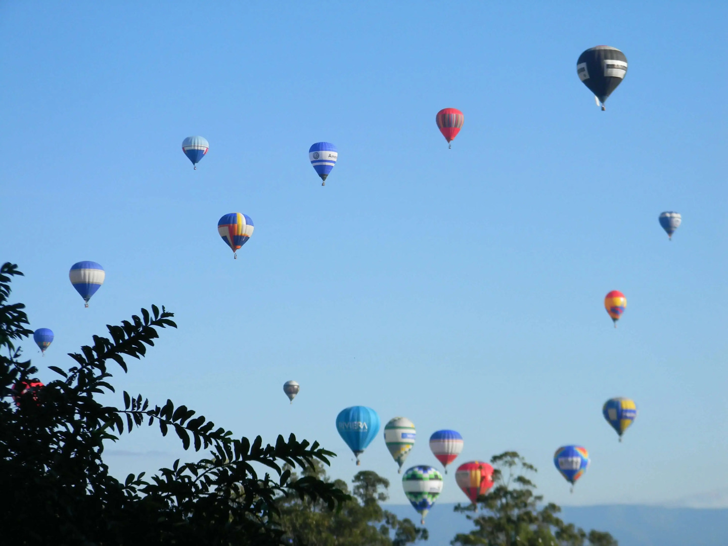 Morada das Bromélias