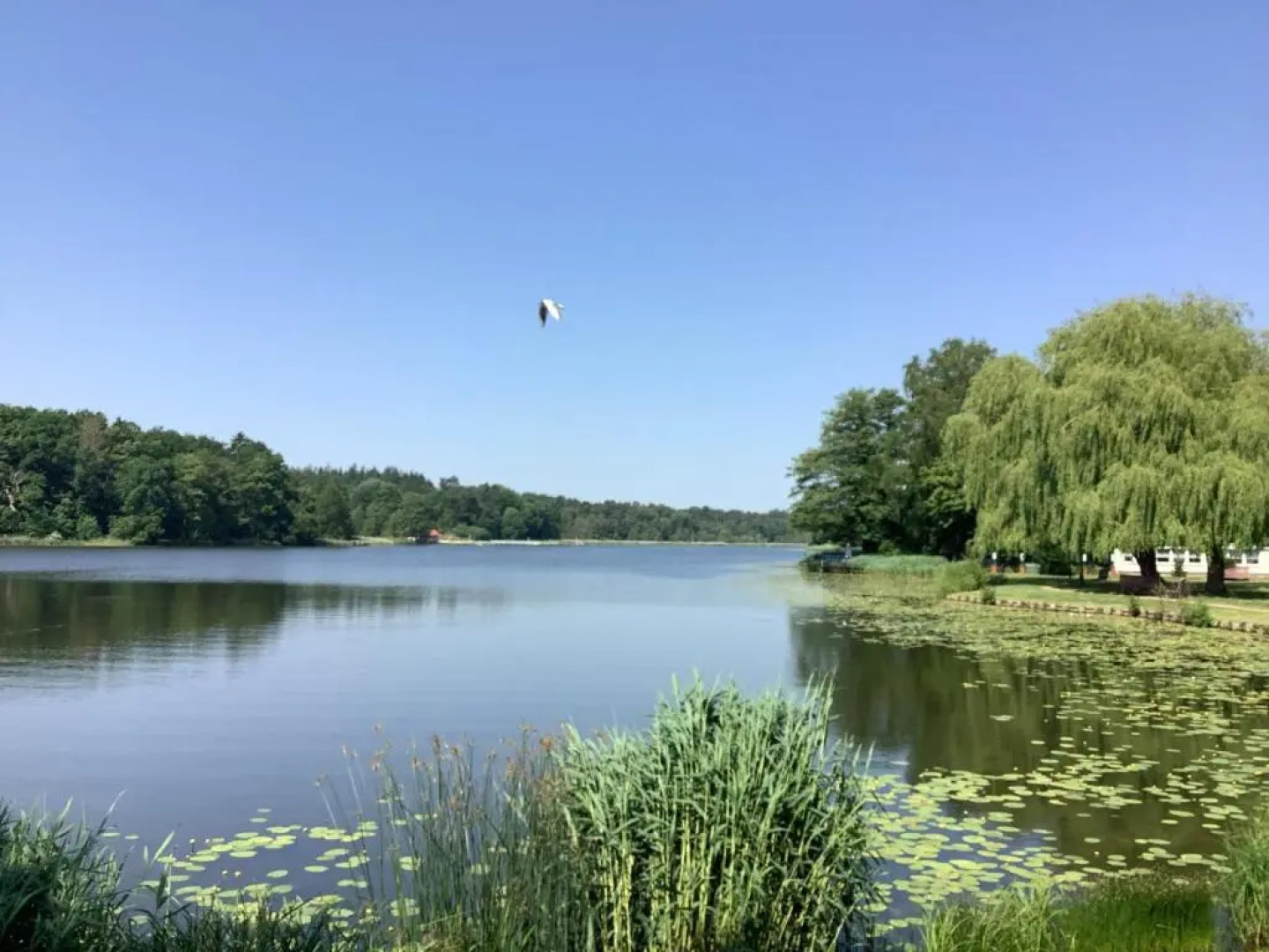 Ferienhaus am Klosterwald