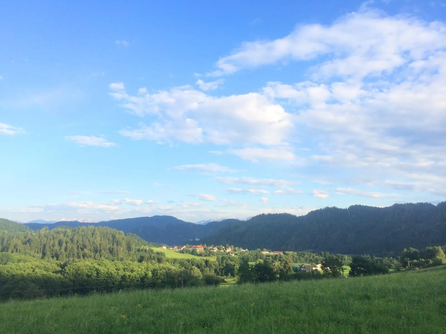 Gfrerer-lipp Feldkirchen