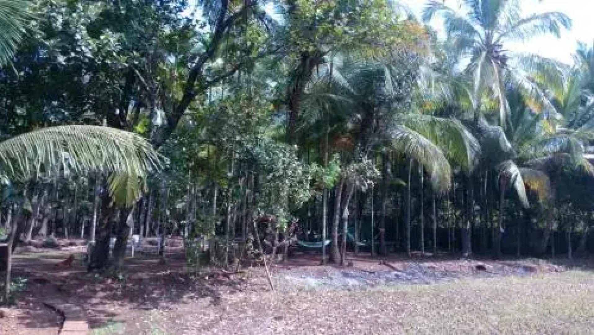 Virgin Winds Resorts