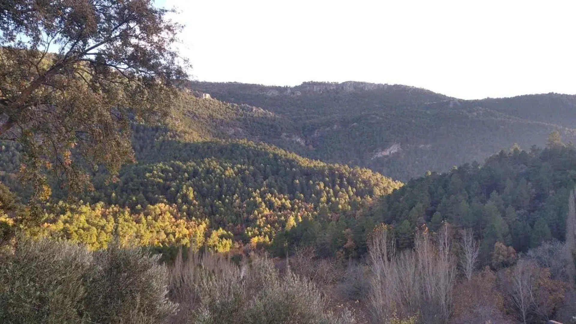 Apartamentos El Callejón