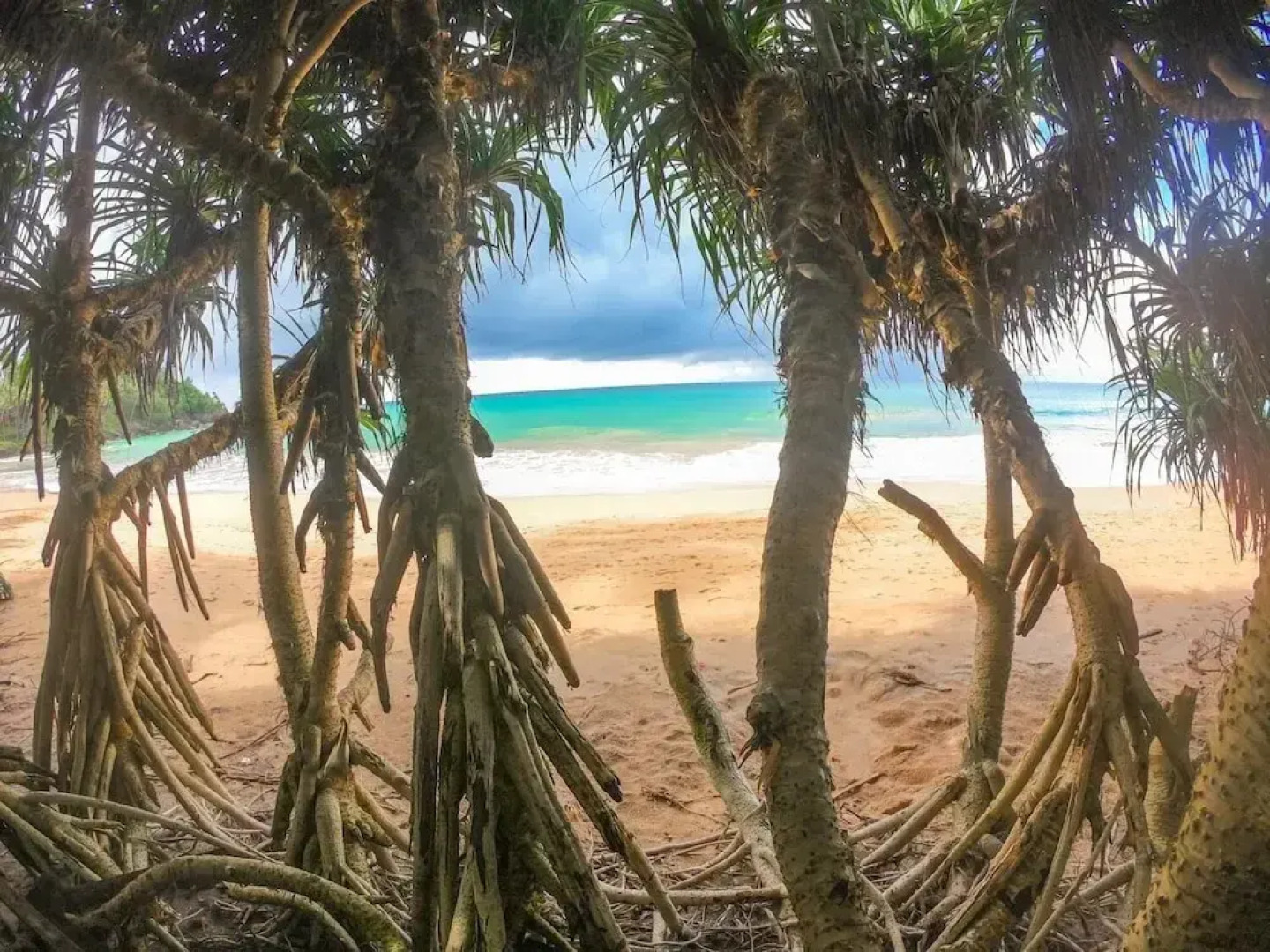 Leather Back Beach Villa