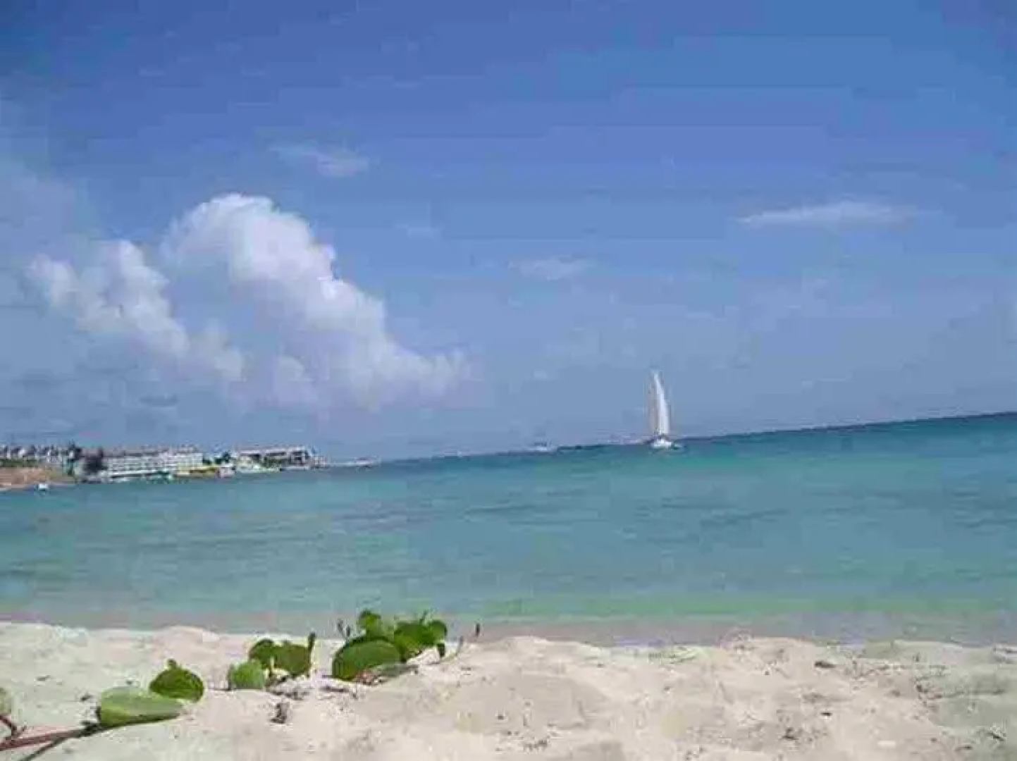 Turquoise Shell Inn