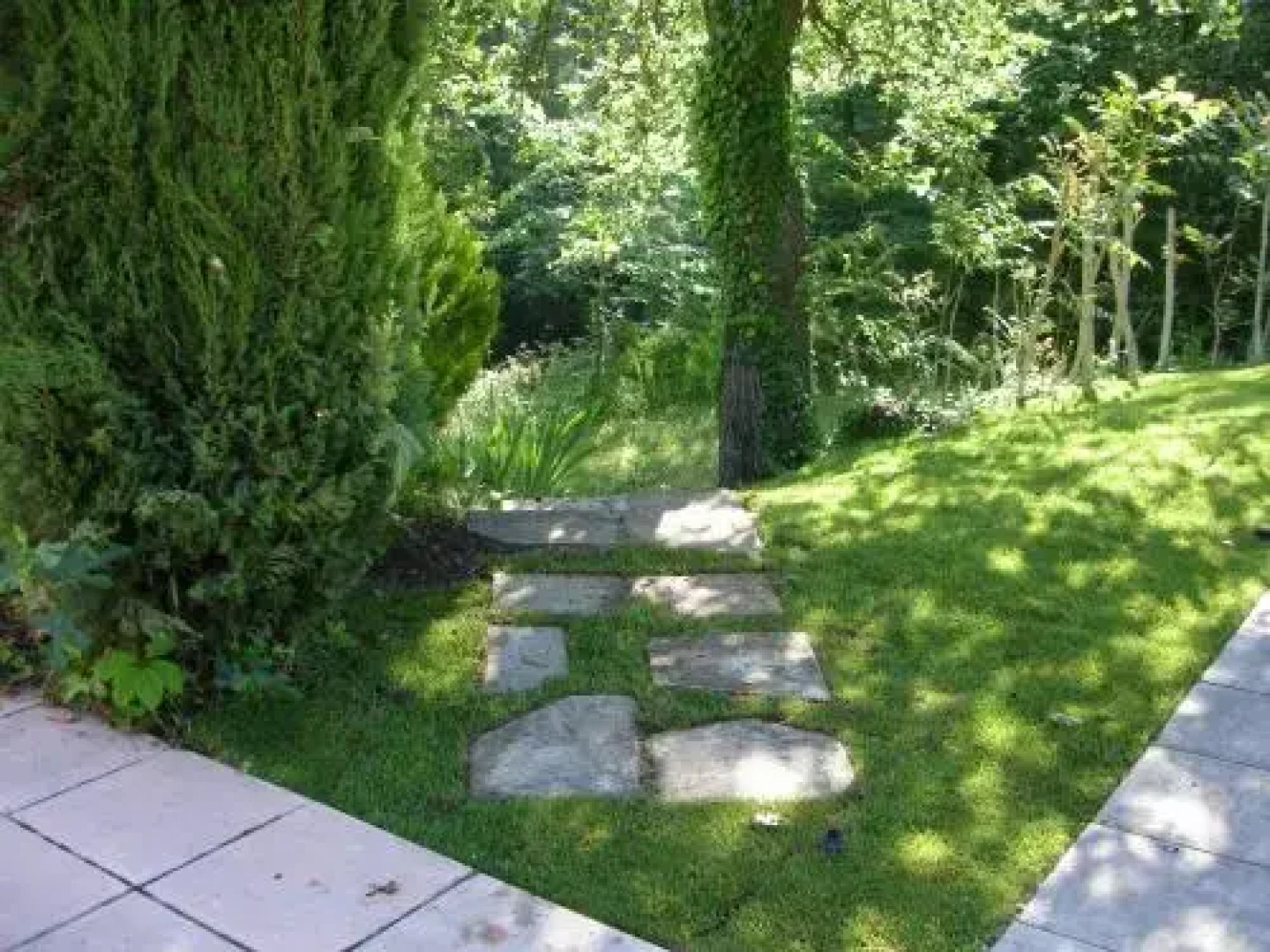 Domaine en Provence Gîte la Ferrandiere