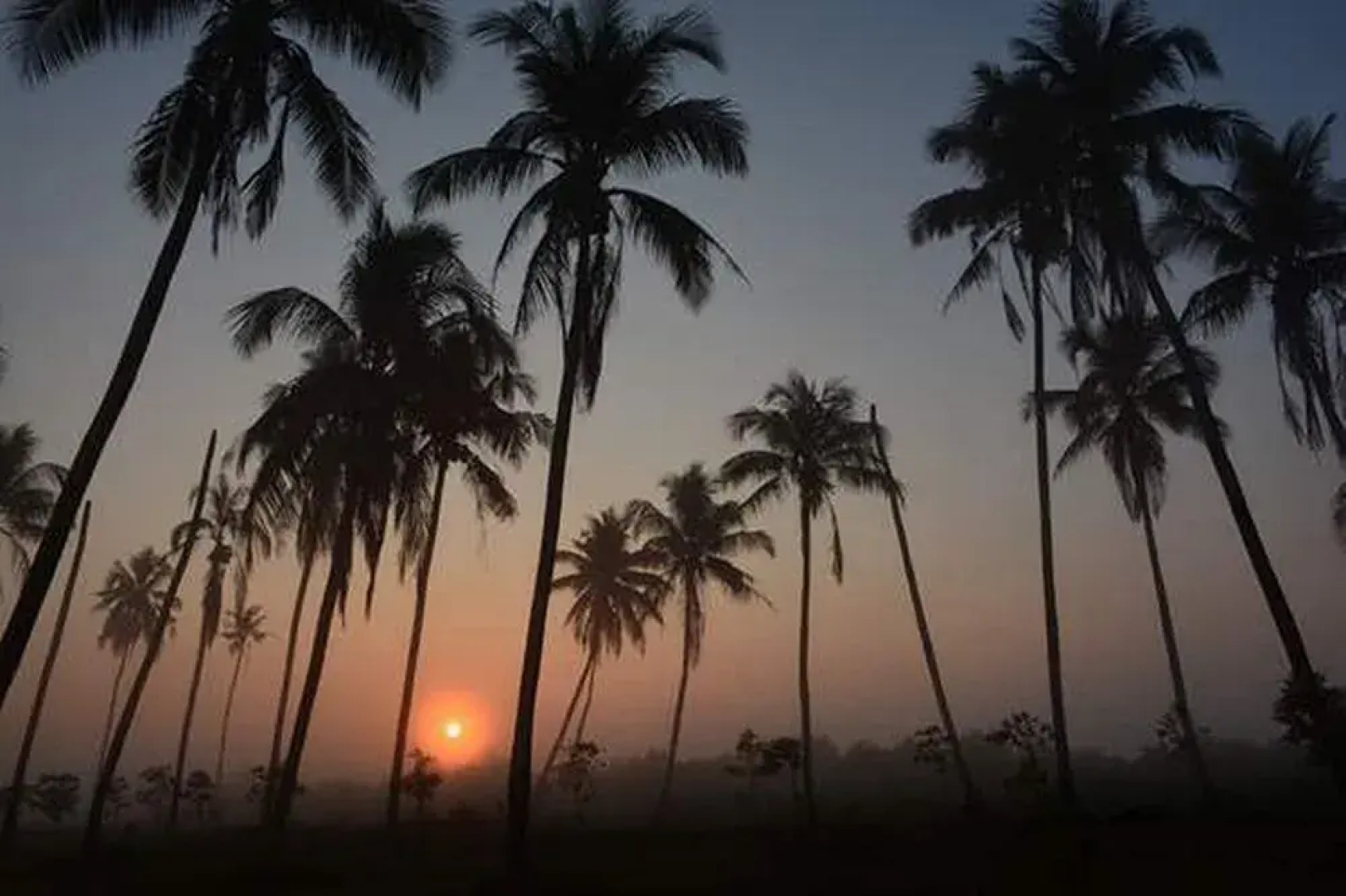 Orchid Adventure Shore Resort