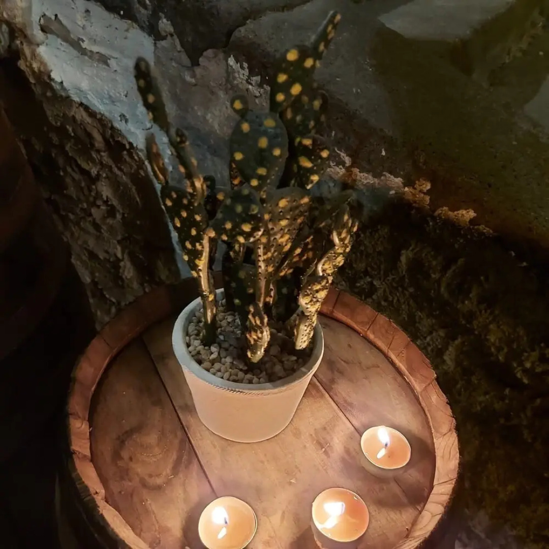 Sogno e Luce di Rosalia
