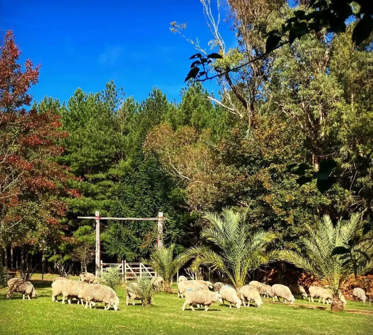 Estancia Pinos de la Quebrada