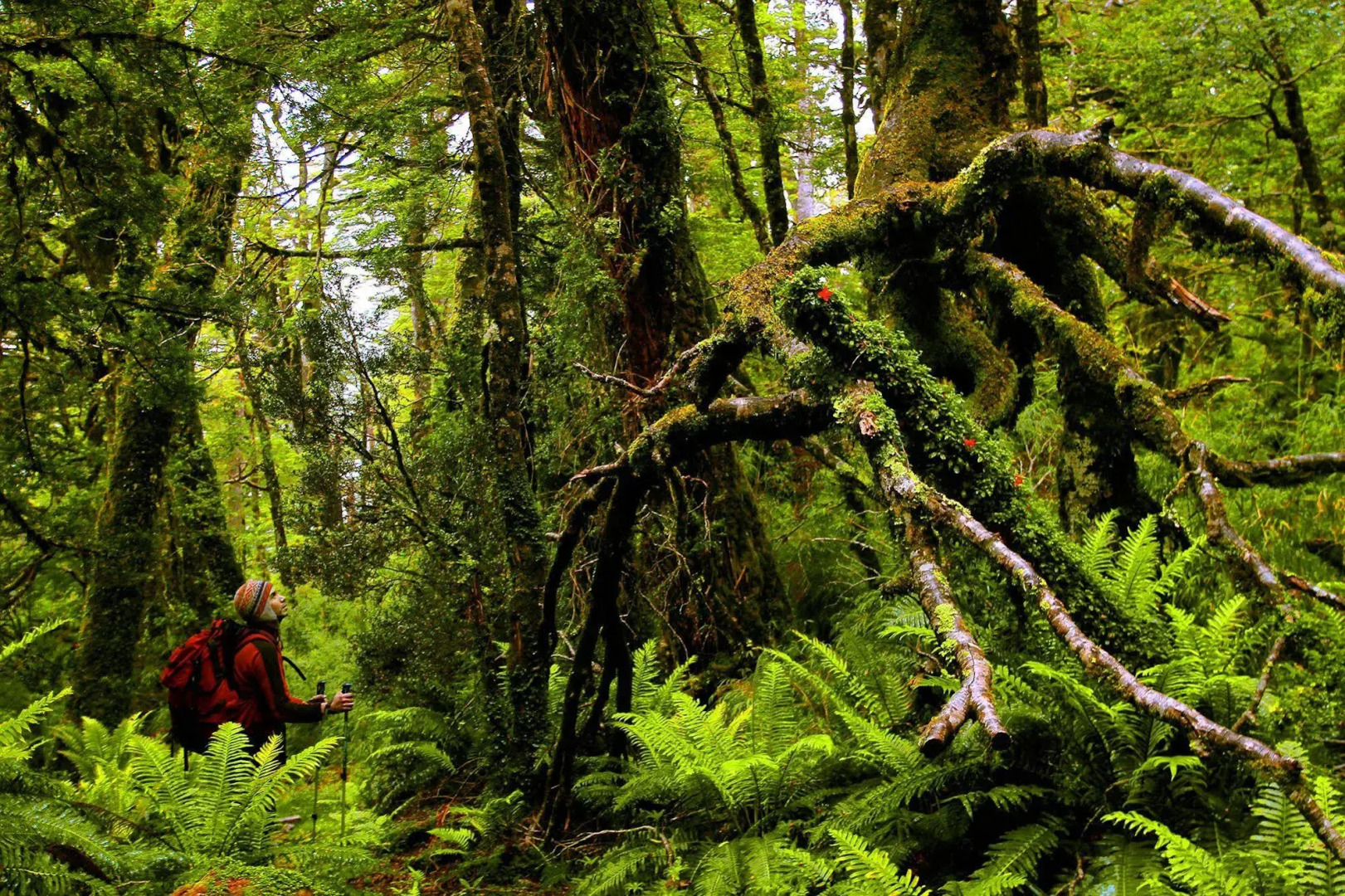 Puyuhuapi Lodge & Spa