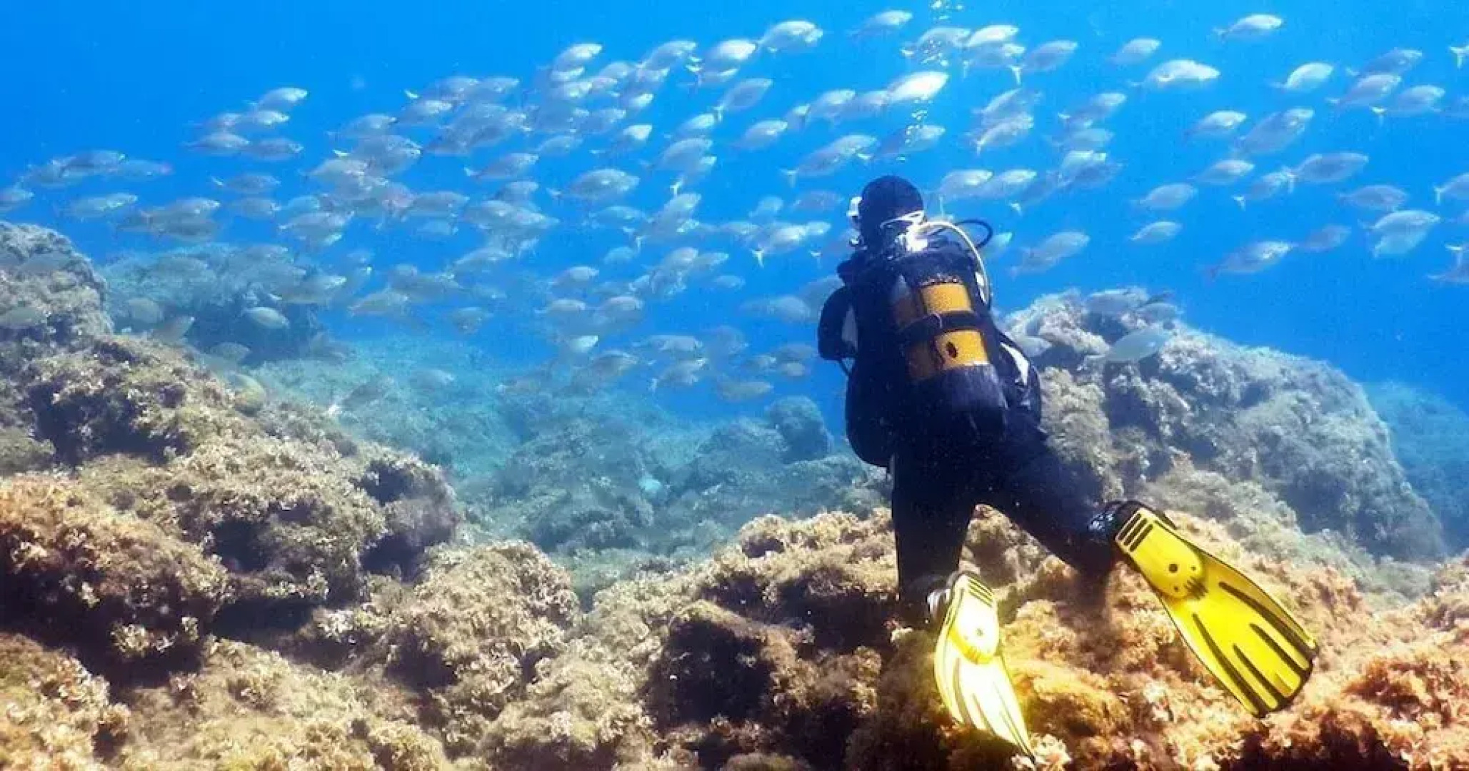 Terra Mia Affittacamere