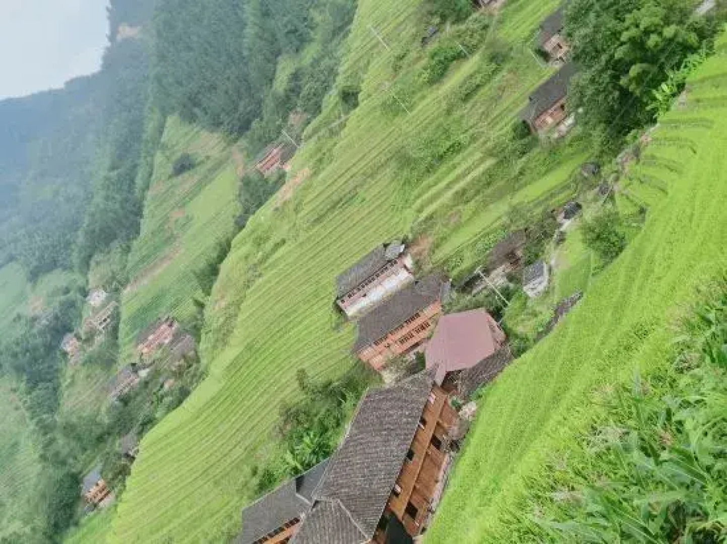 Jinyuan Gelou Homestay