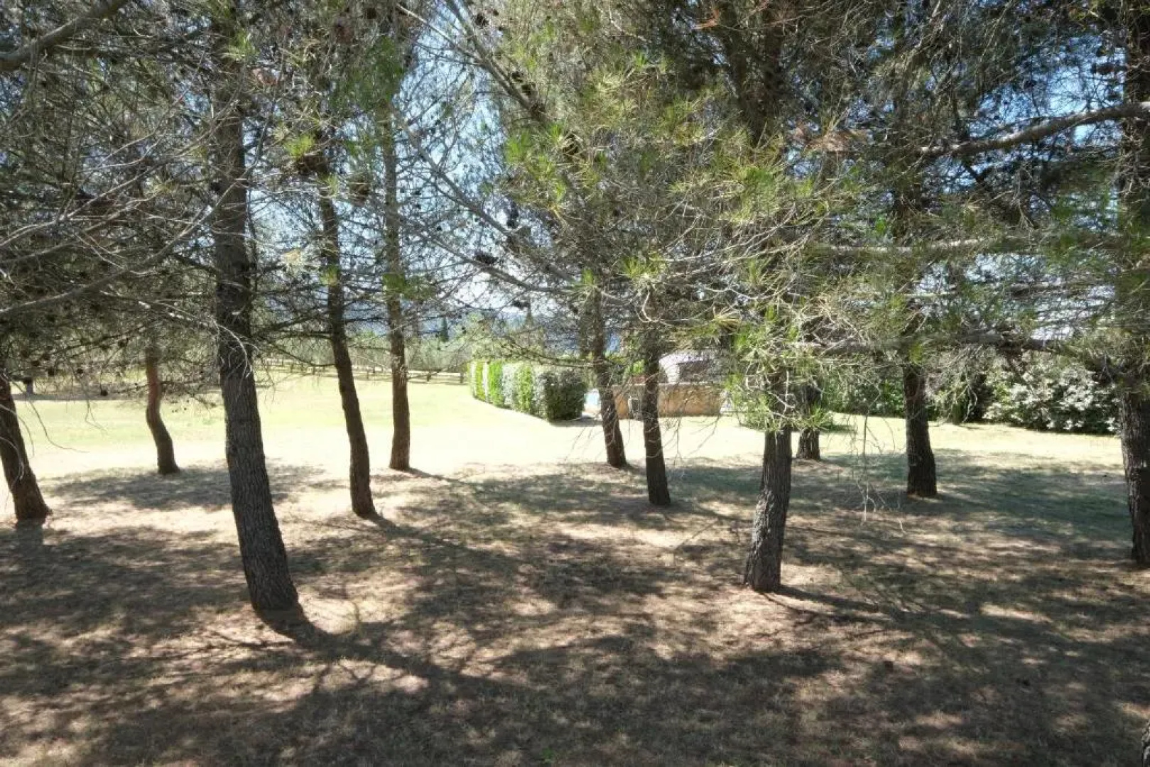 Charming vacation rental with a swimming pool in the heart of Luberon Natural Park,13 people LS2-306 ANDOURETO