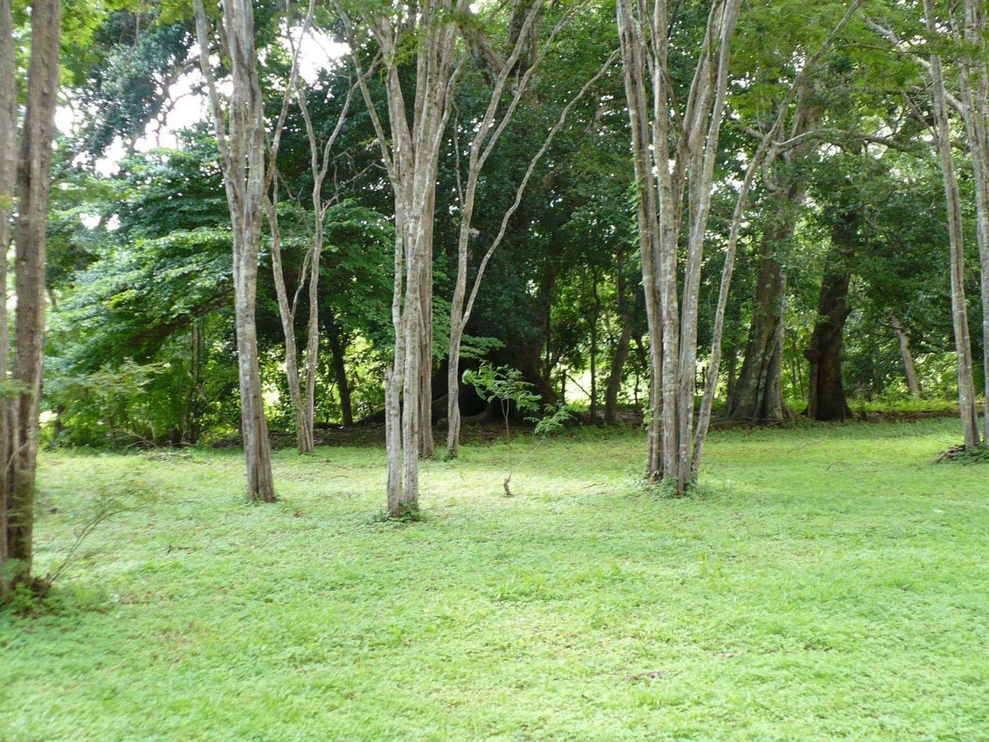 Finca Buena Fuente Residence Hotel