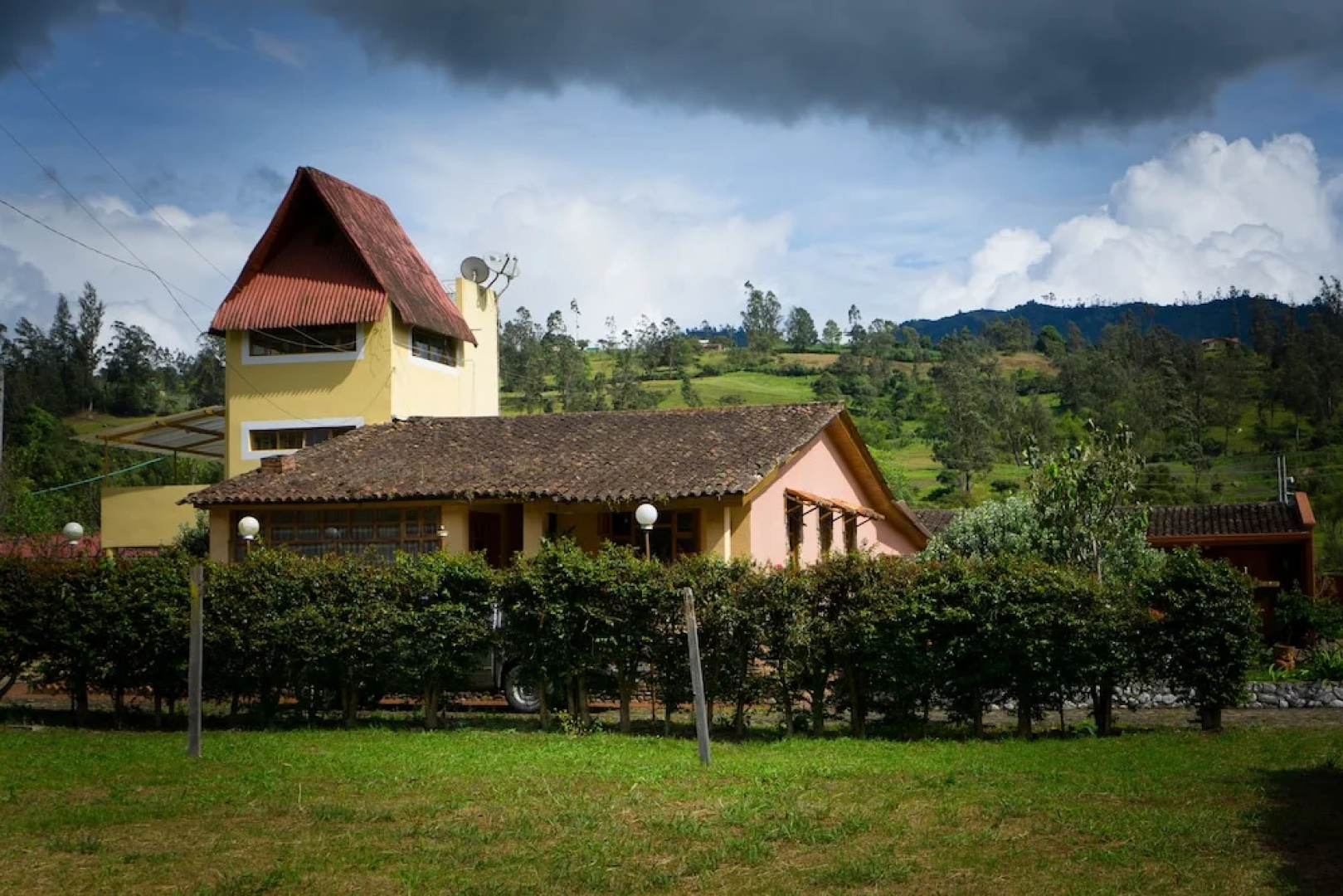 Buganvilla