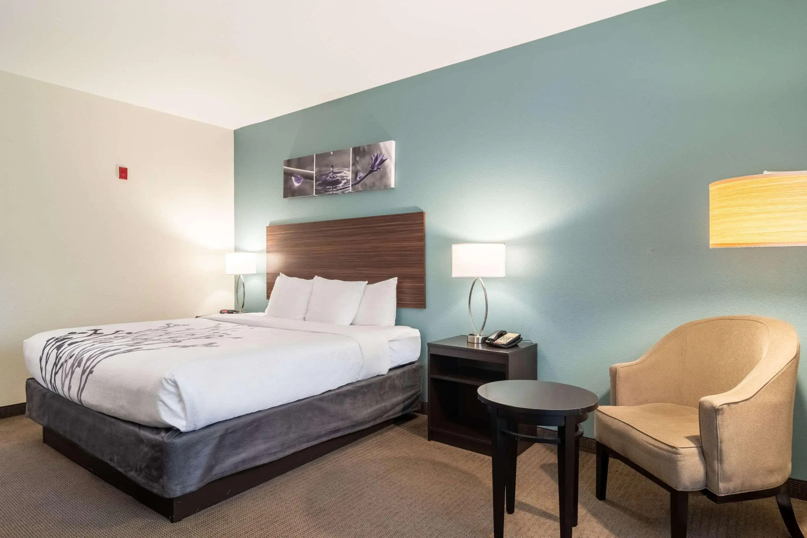 Sleep Inn and Suites at Kennesaw State University