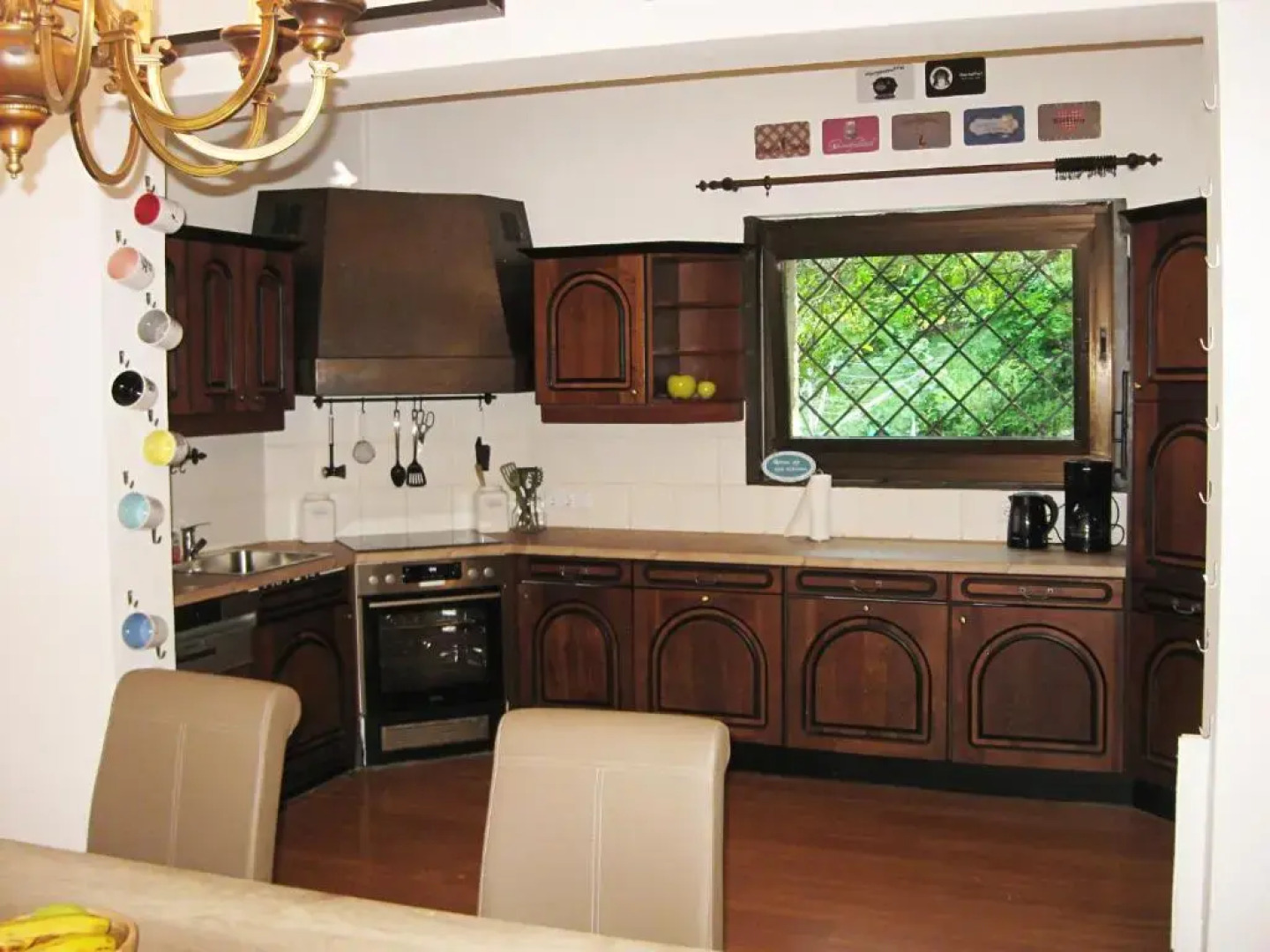 Danube view house with garden