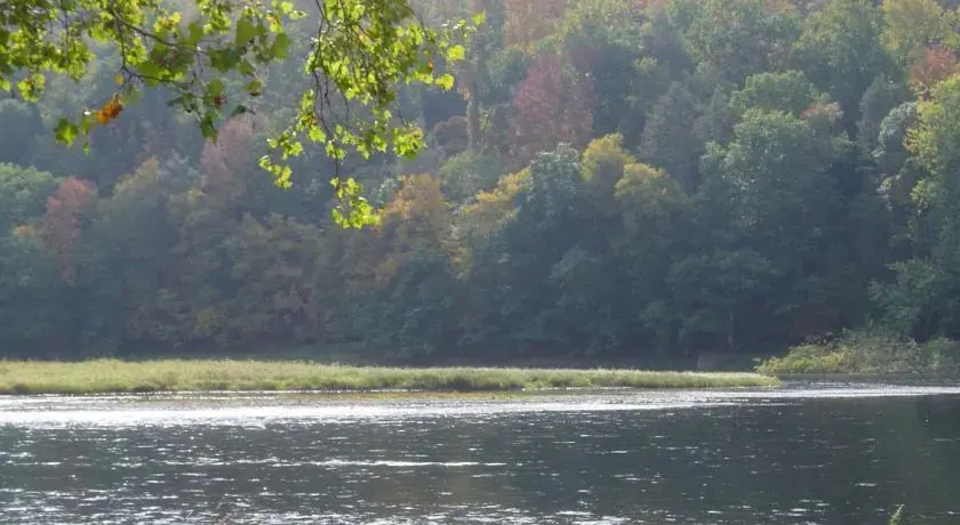 River Road Callicoon Rental House