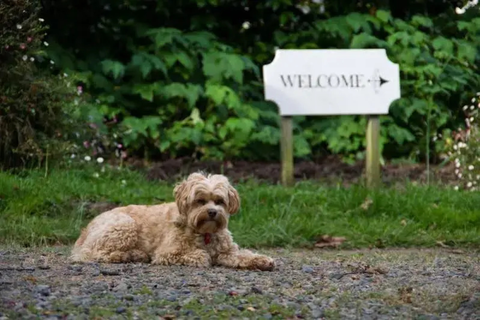 Ugbrooke Country Estate