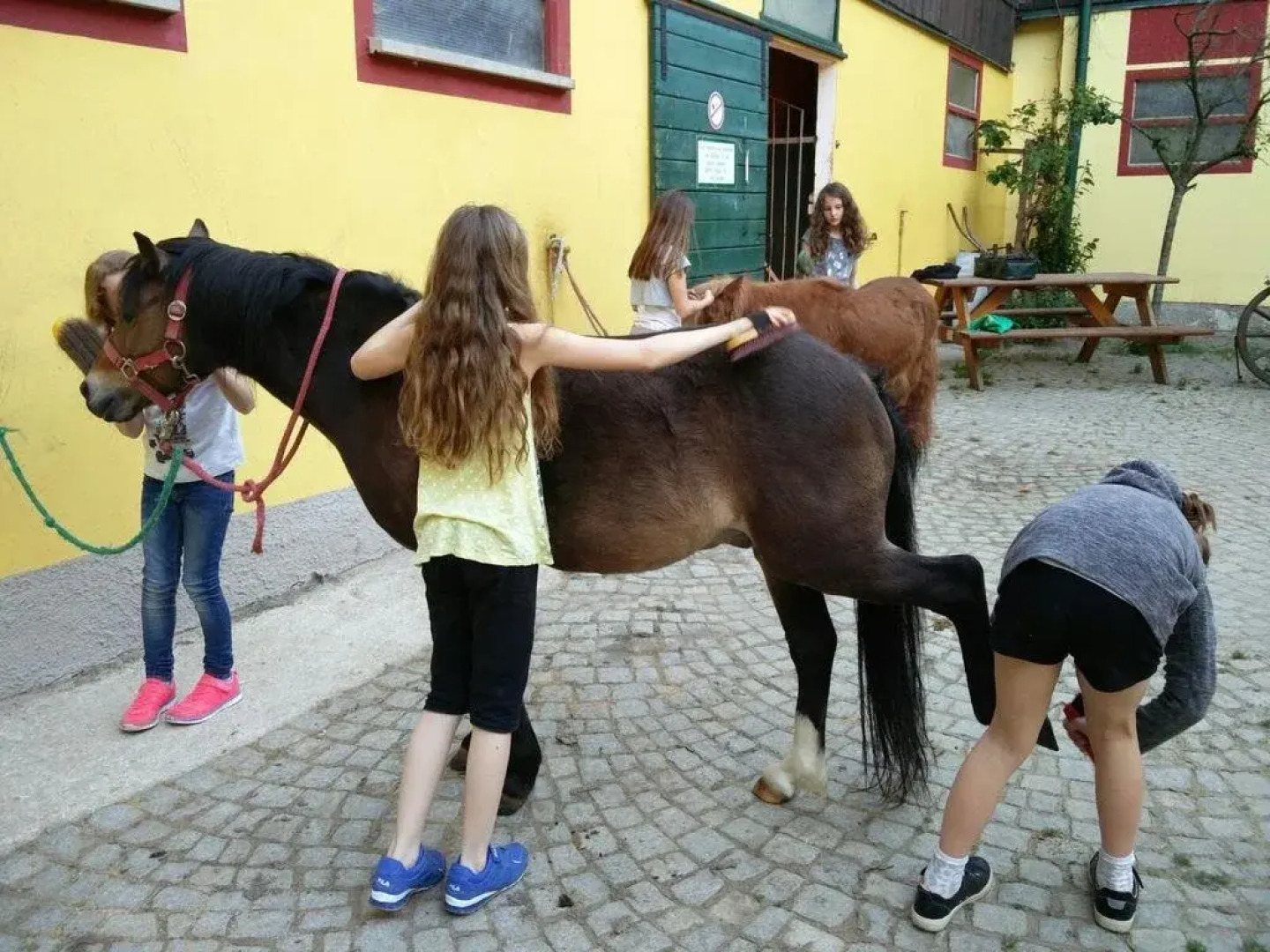 Reitstall Familie Inghofer - Gästehaus & Bauernhof