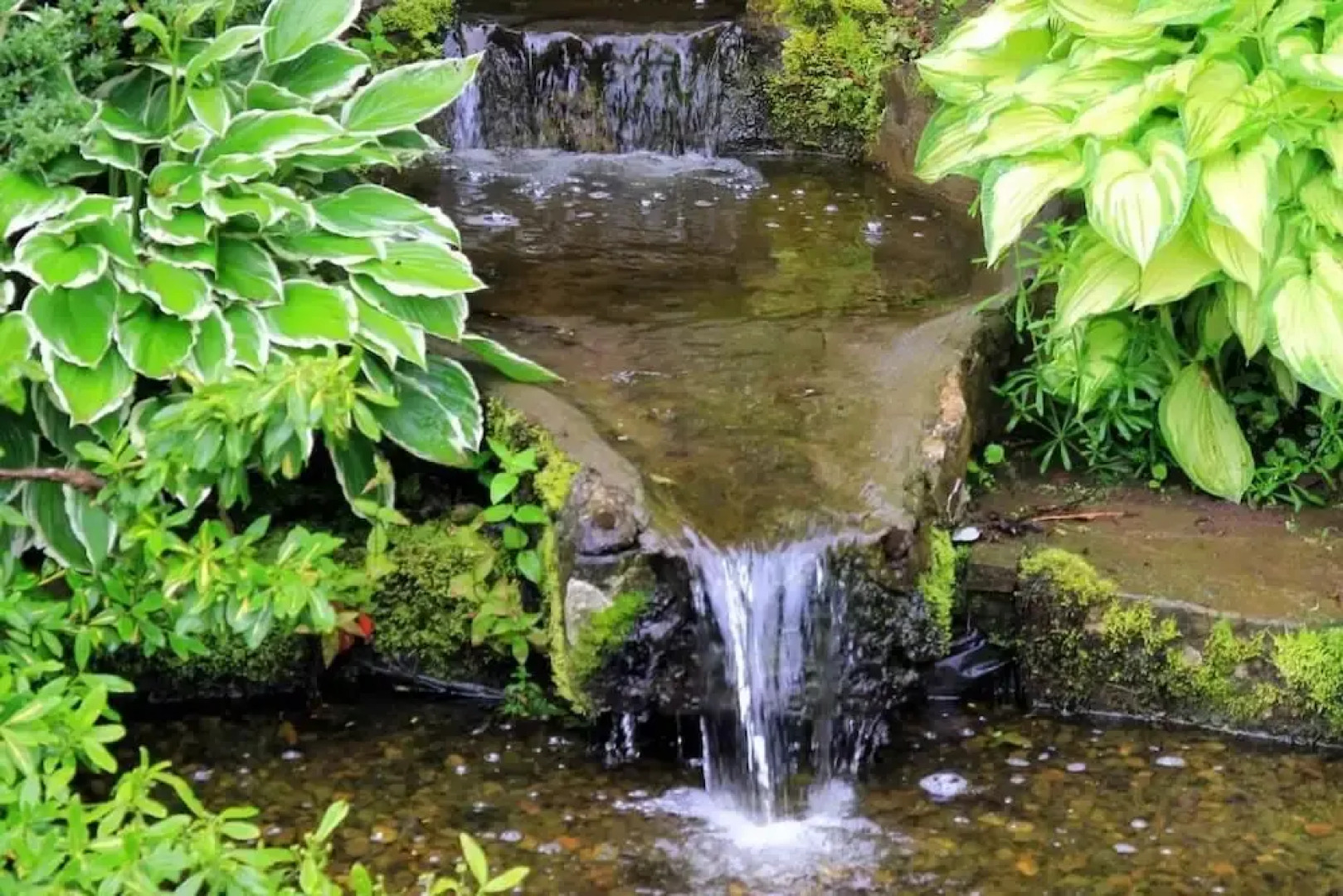 Westacre Bed & Breakfast