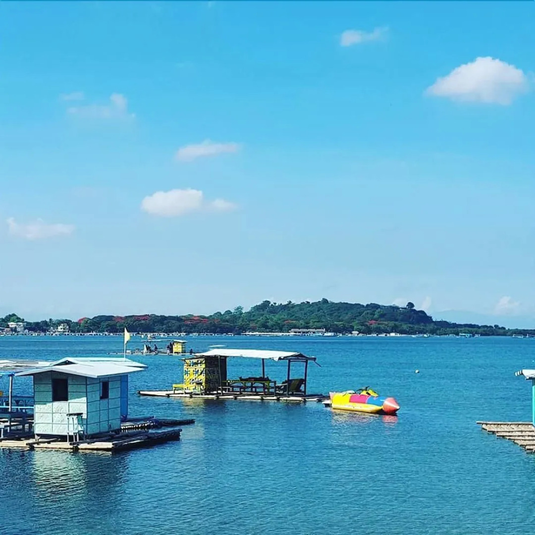 The Pelicans Castaway