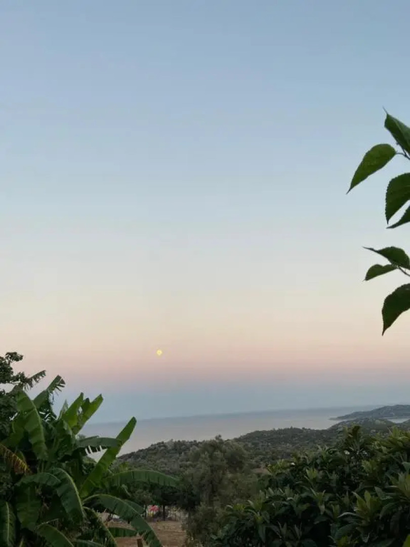 Senayablaevpansiyonculuk