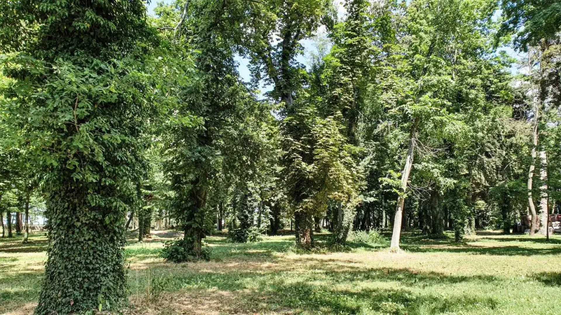 Dworek Brodowo Restauracja Hotel Przyjęcia