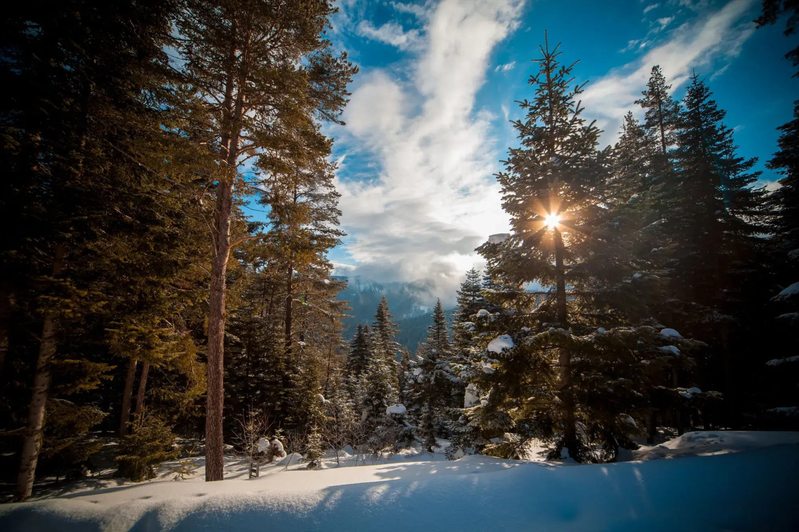 Ilgaz Mountain Resort Hotel