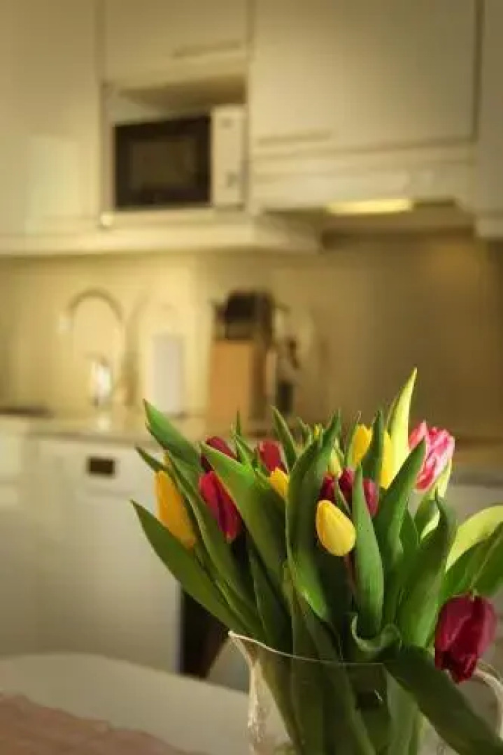 Dp Apartments Vaasa II