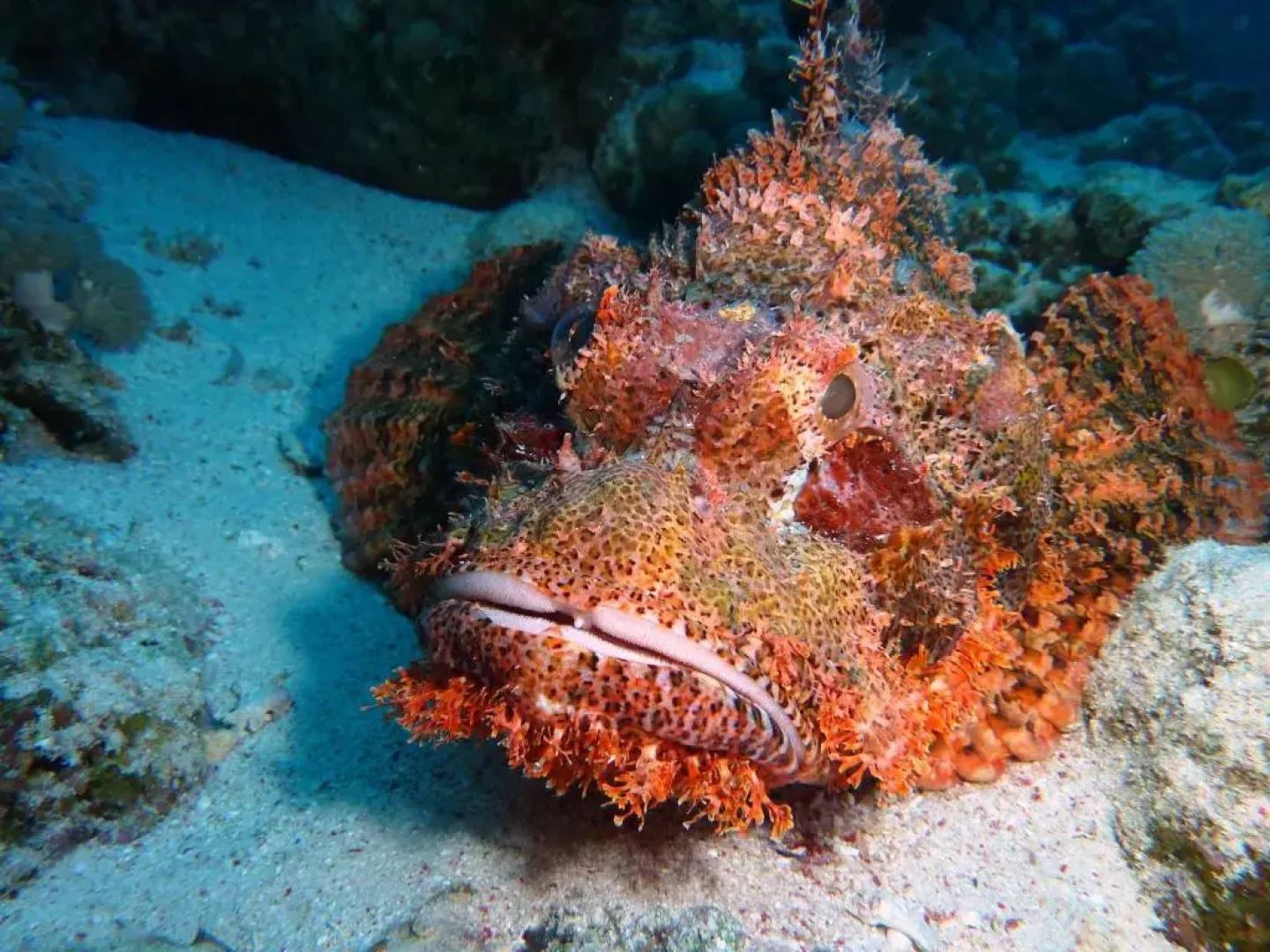 Hotel & Residence Cormoran