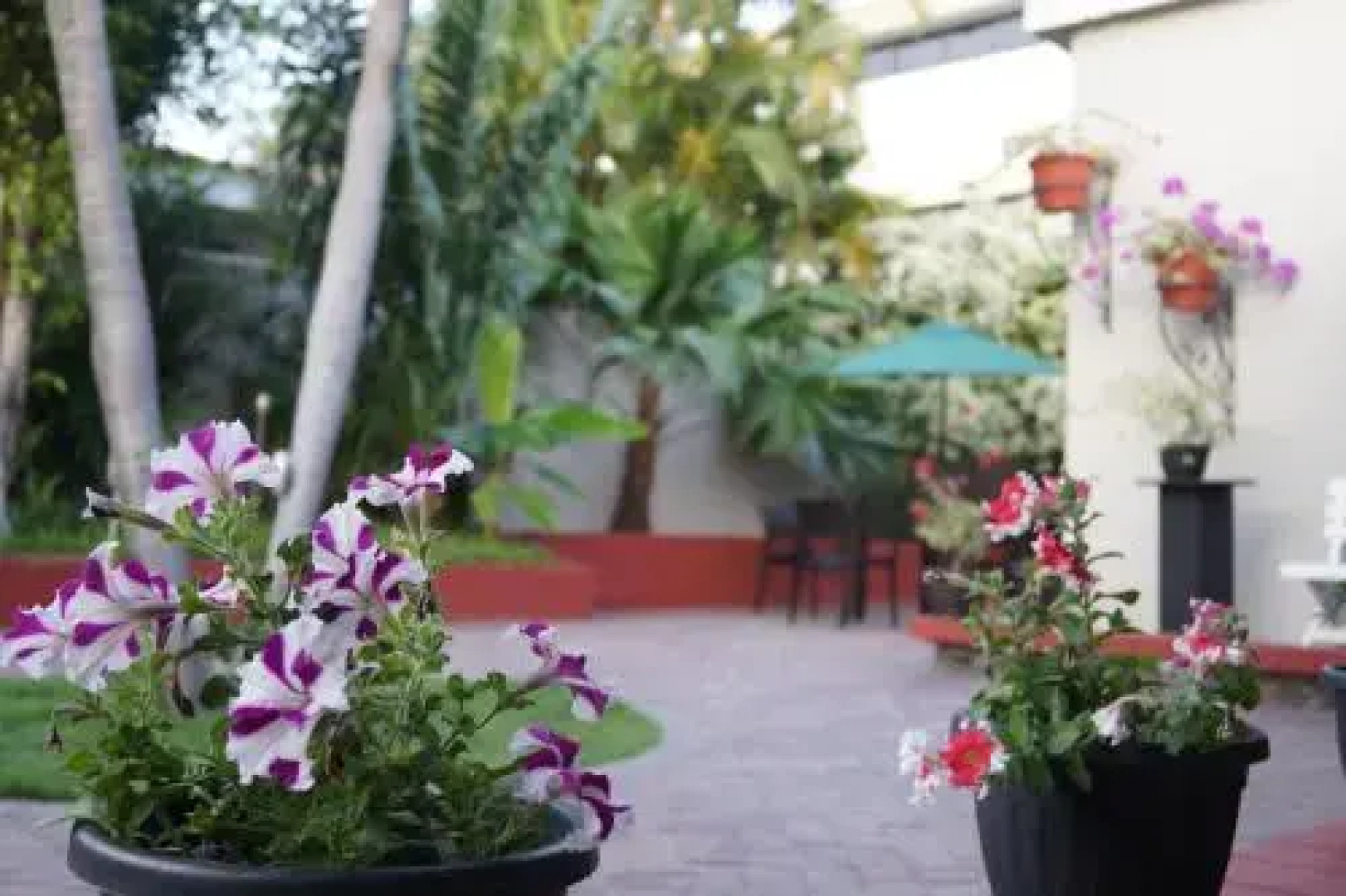 Ilioni Boutique Hotel