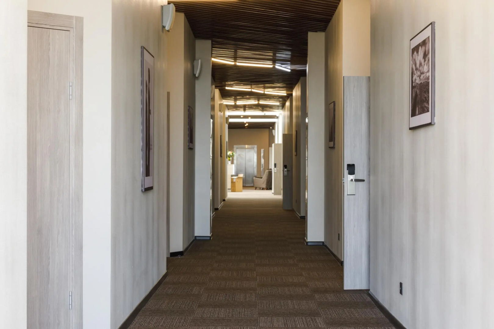 Отель Питерлэнд