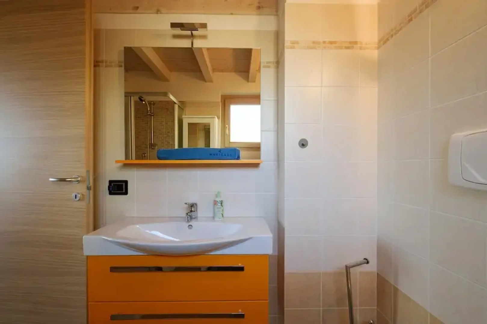 Artemisia in Parzanica