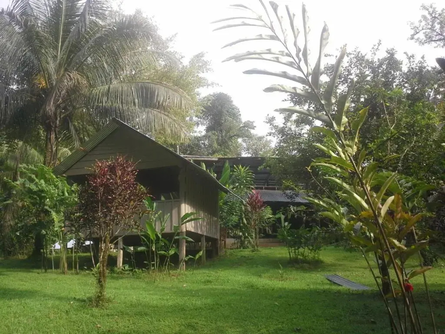 Estación Biológica Tamandua