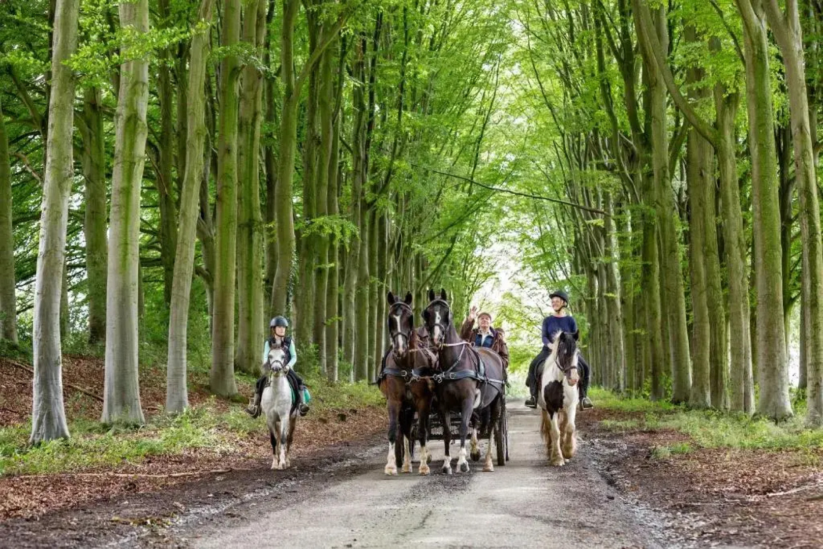 Vakantieboerderij Ferme Le Bleuet