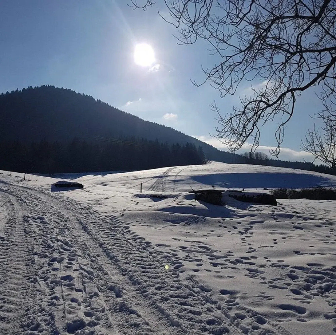 Auberge des Montauds - Hôtel & Restaurant