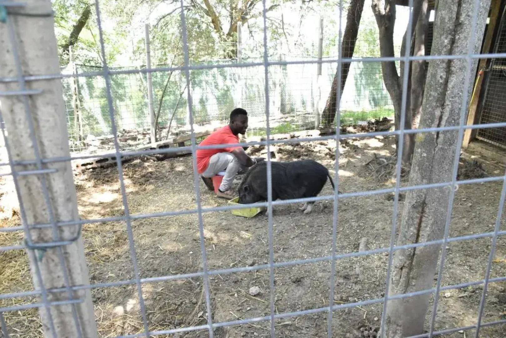 fattoria country village