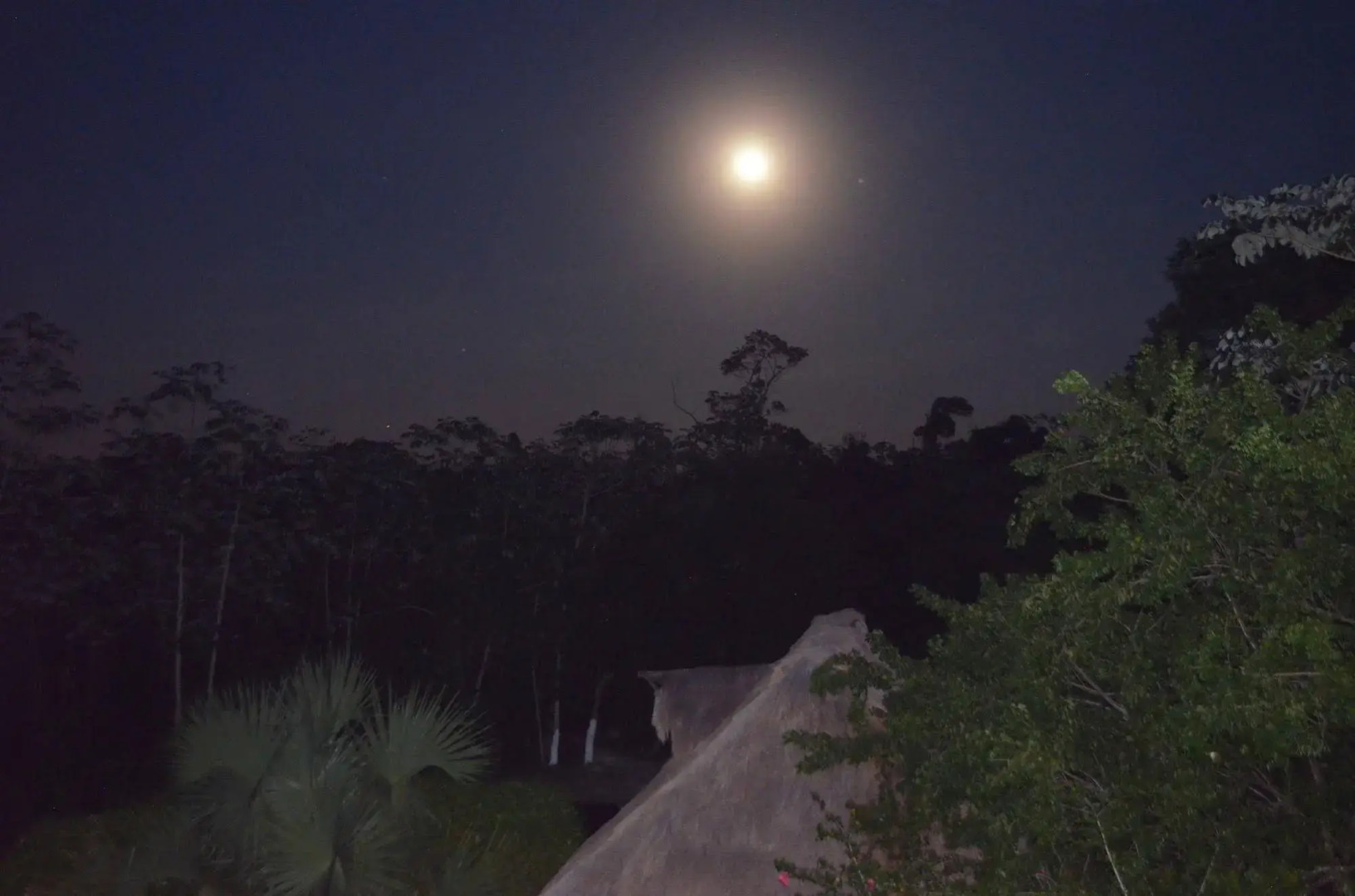 Casa Cenote Popol Vuh