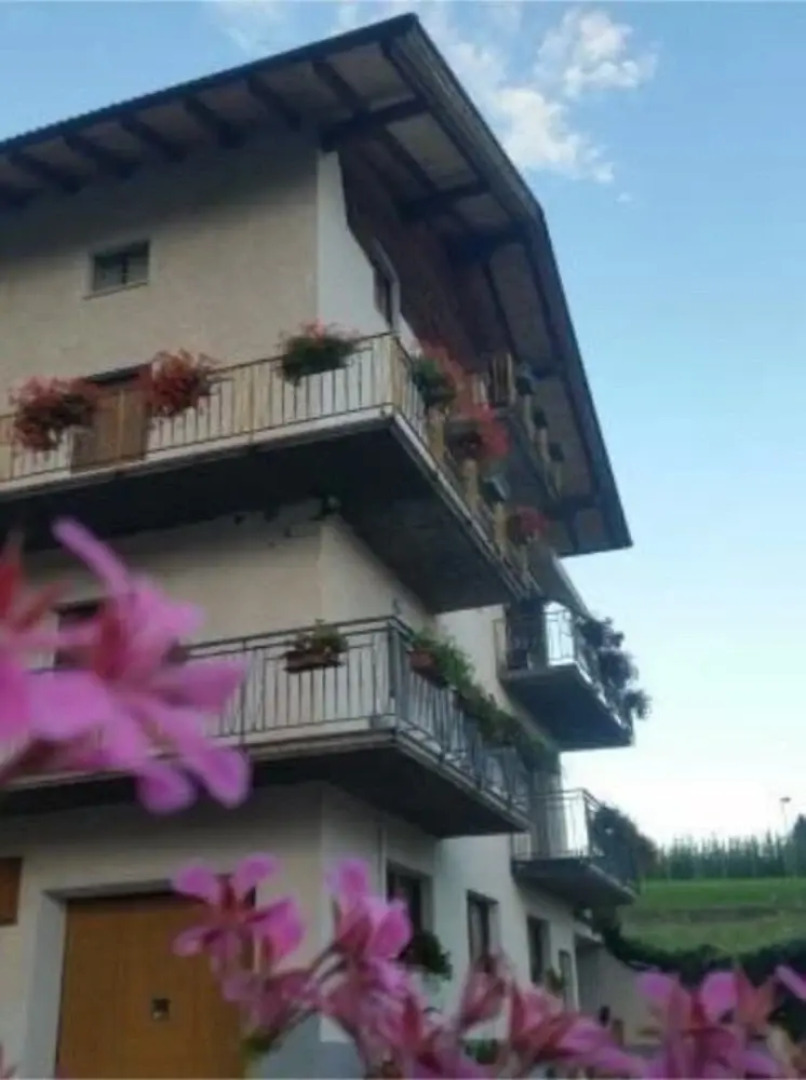 Bed & Breakfast Raina