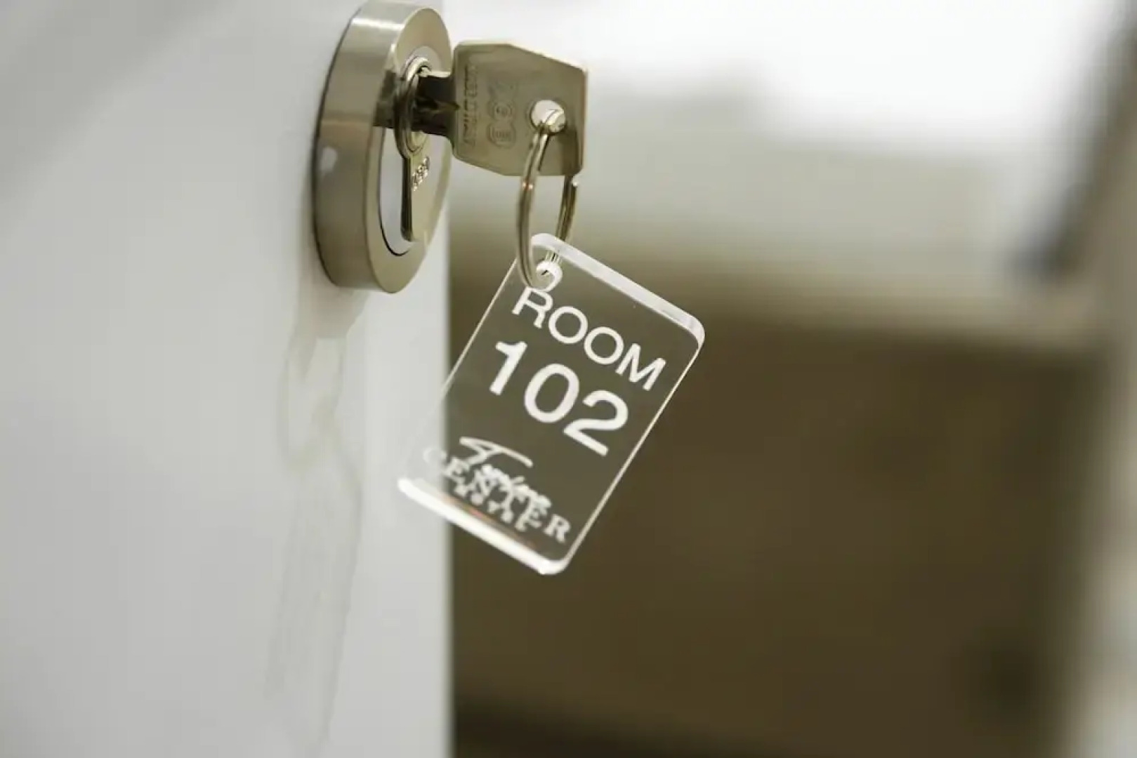 Tepelena Center Hotel